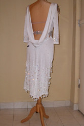 dress latin silver dreamgown